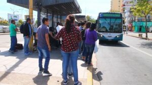 expectativaenaperturadesobresdelalicitaciondeltransporte